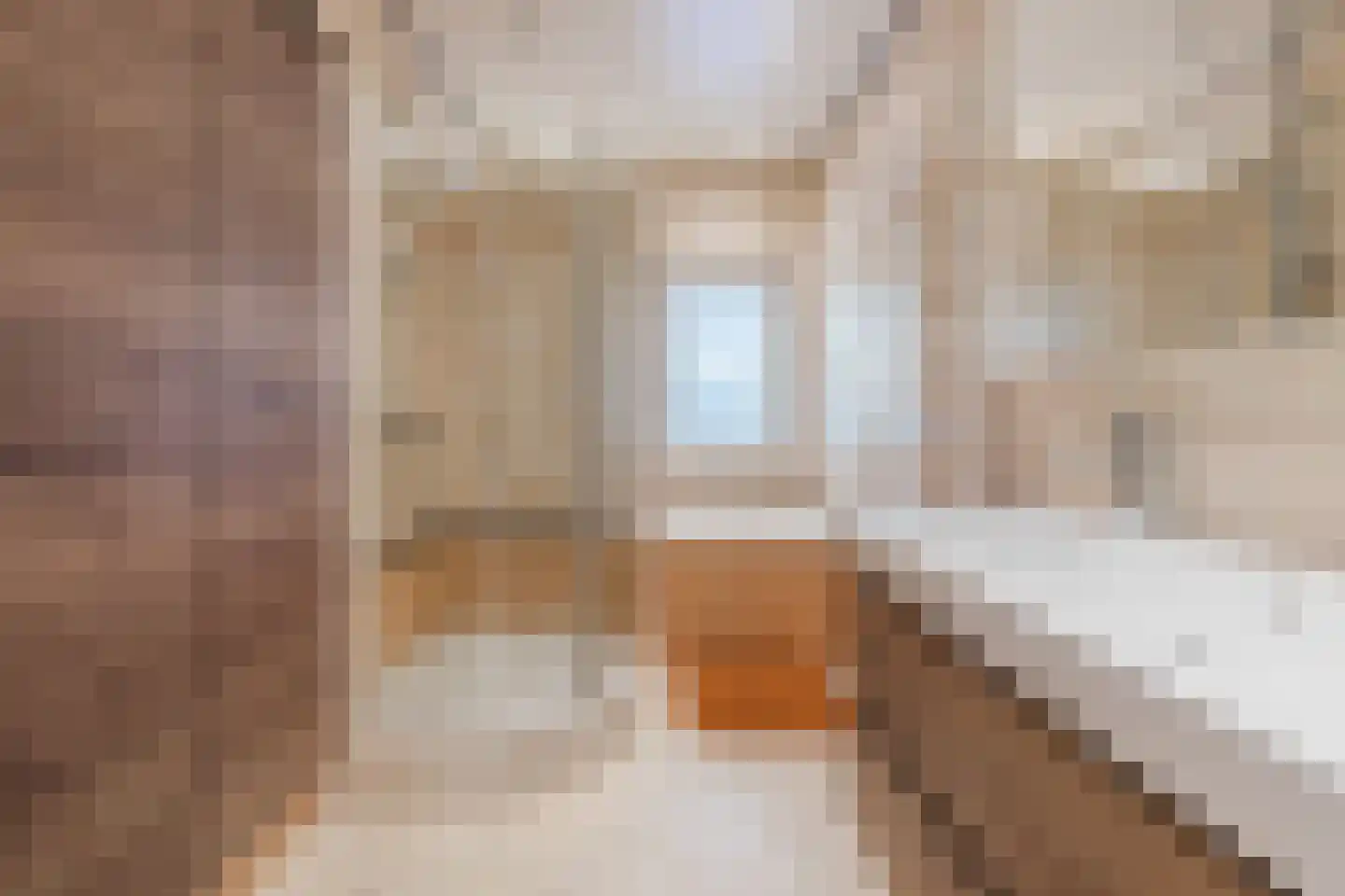 Julianalaan 65 Maasbracht thumbnail 37