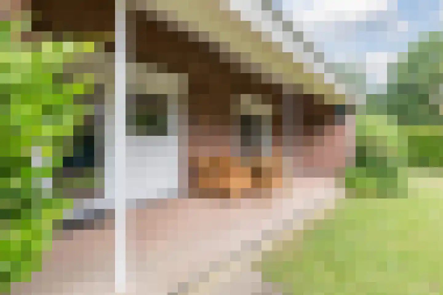 Julianalaan 65 Maasbracht thumbnail 47