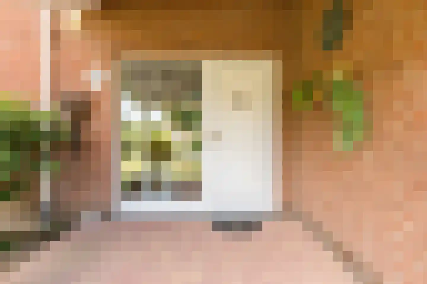 Julianalaan 65 Maasbracht thumbnail 8