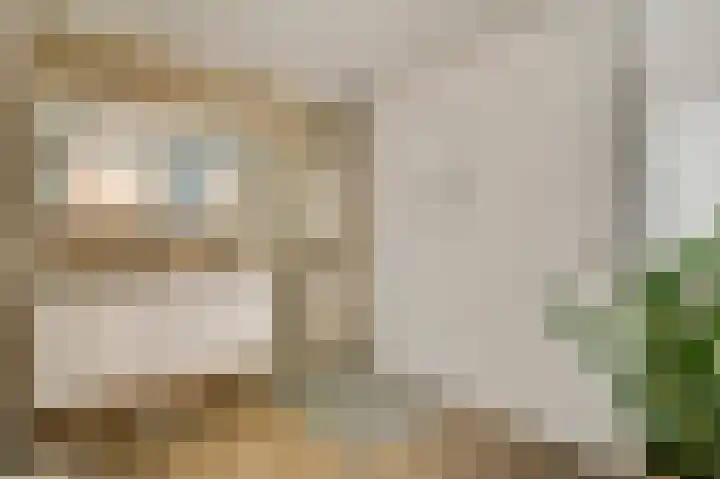 Julianalaan 65 Roermond thumbnail 15