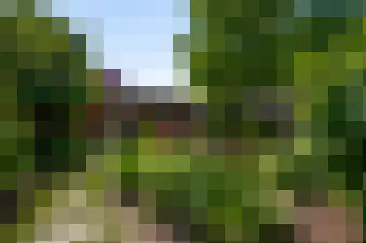 Julianalaan 65 Roermond thumbnail 20