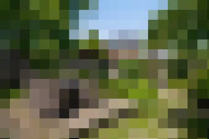 Julianalaan 65 Roermond thumbnail 21