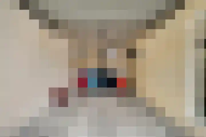 Julianalaan 65 Roermond thumbnail 23