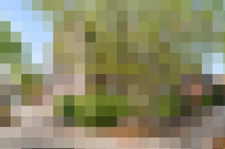 Julianalaan 65 Roermond thumbnail 5