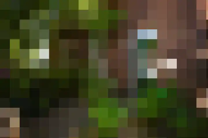 Julianalaan 65 Roermond thumbnail 7