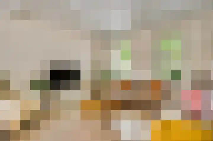 Julianalaan 65 Roermond thumbnail 9
