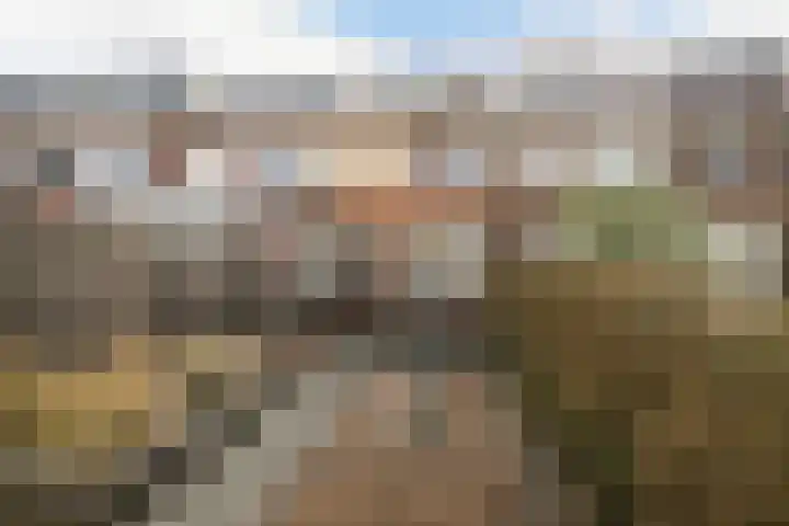 Julianalaan 65 Vlaardingen thumbnail 20