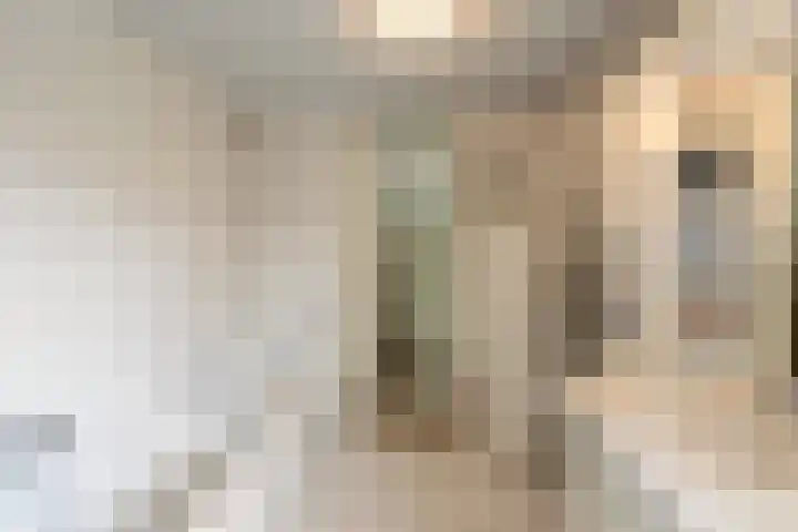Julianalaan 65 Vlaardingen thumbnail 30