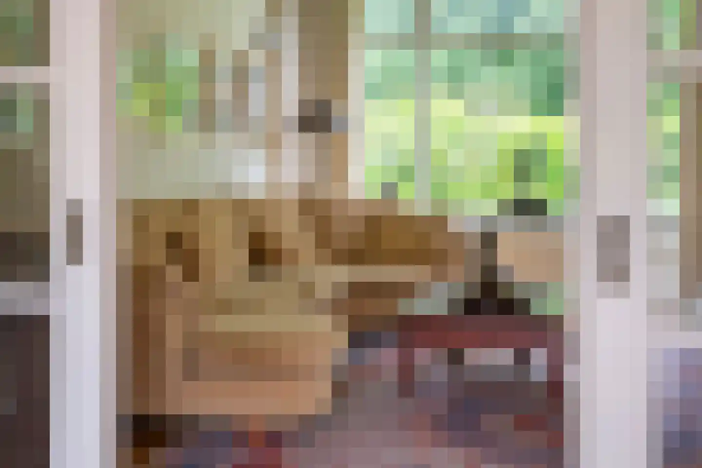 Julianalaan 66 Arnhem thumbnail 20
