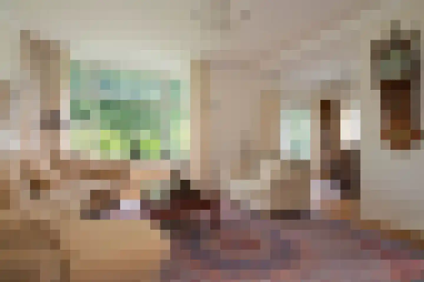 Julianalaan 66 Arnhem thumbnail 22
