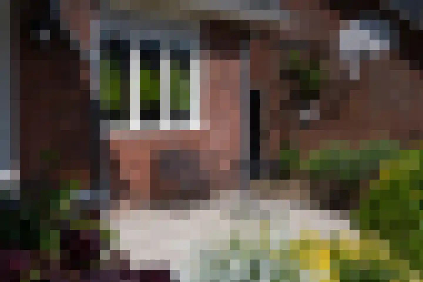 Julianalaan 66 Arnhem thumbnail 39