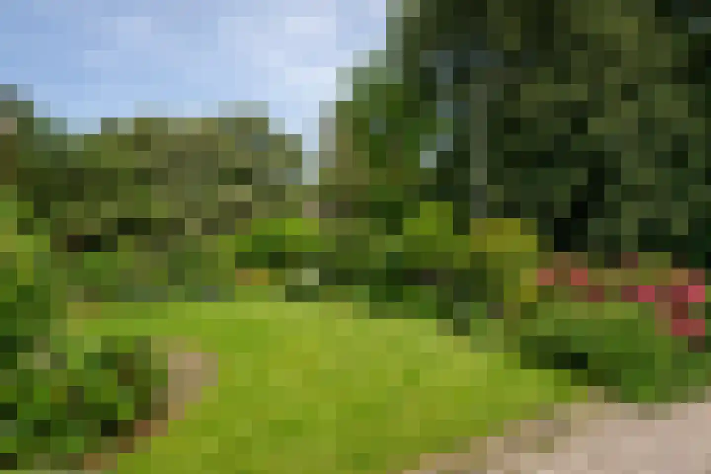 Julianalaan 66 Arnhem thumbnail 4