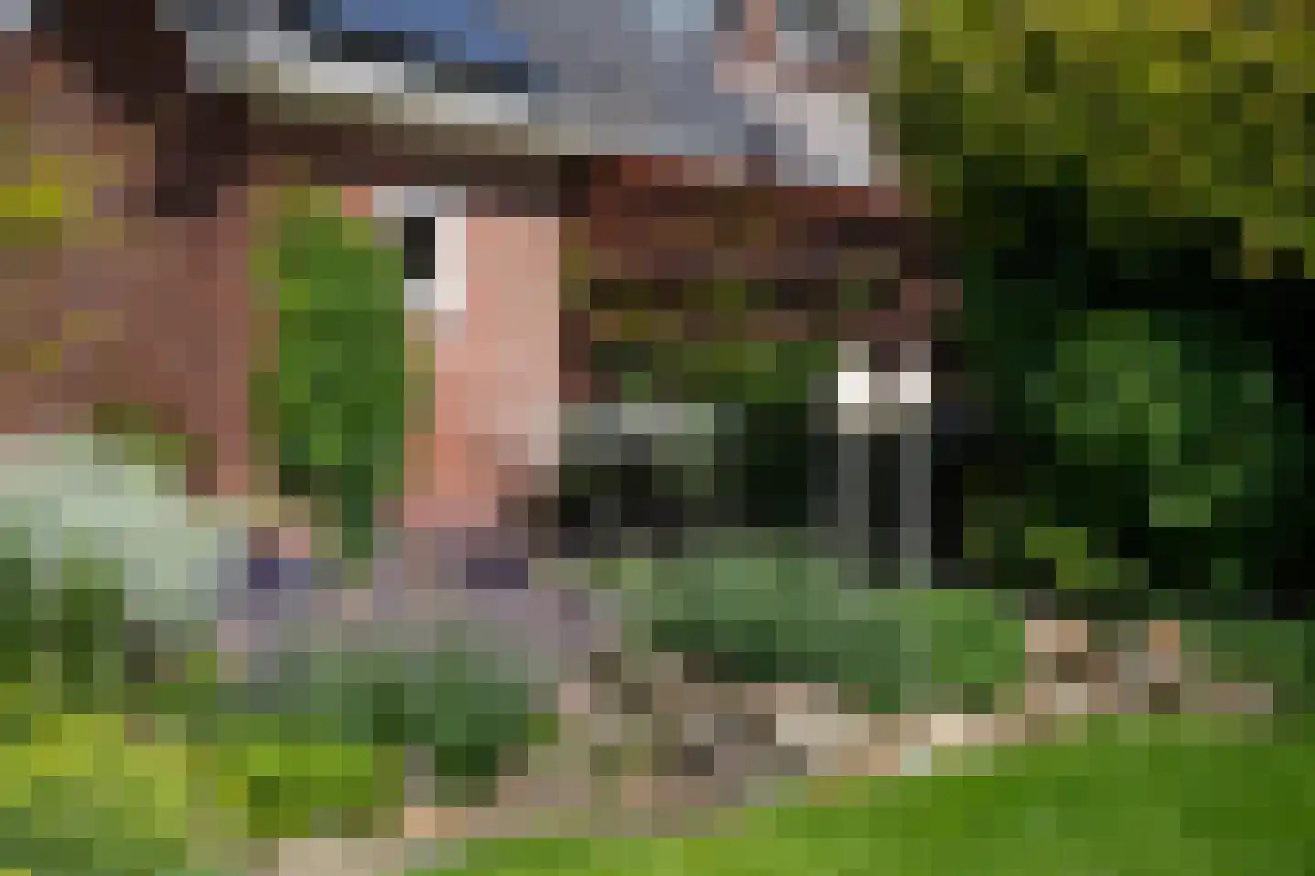 Julianalaan 66 Arnhem thumbnail 40