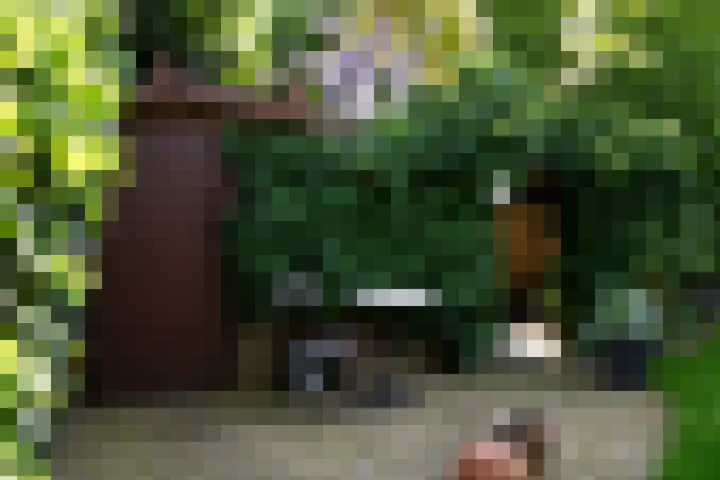Julianalaan 66 Arnhem thumbnail 42