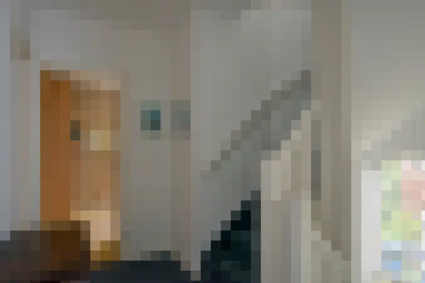 Julianalaan 66 Arnhem thumbnail 46