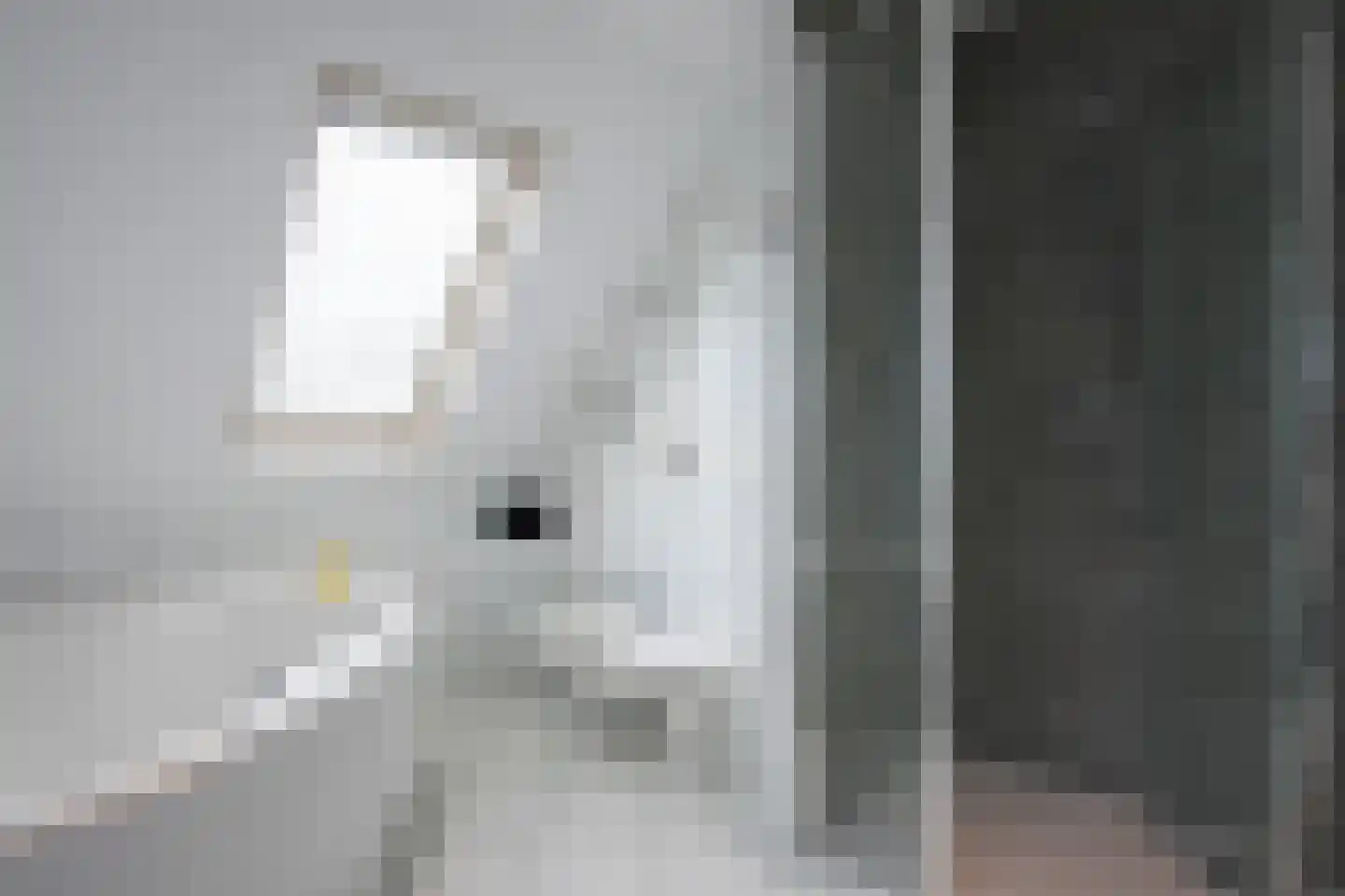 Julianalaan 66 Arnhem thumbnail 55