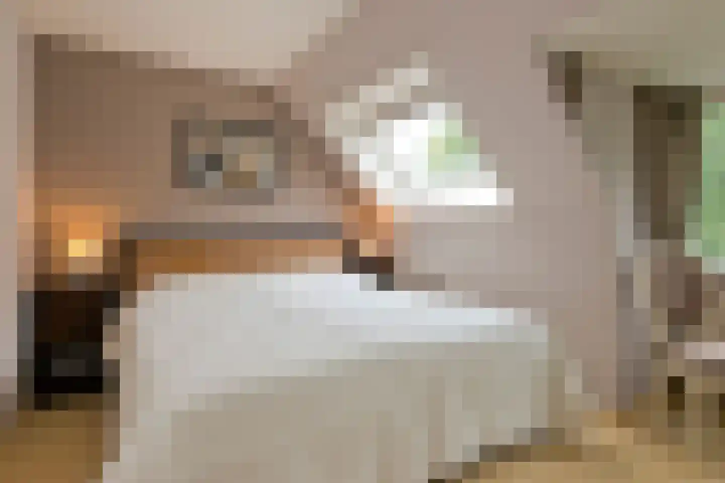 Julianalaan 66 Arnhem thumbnail 66