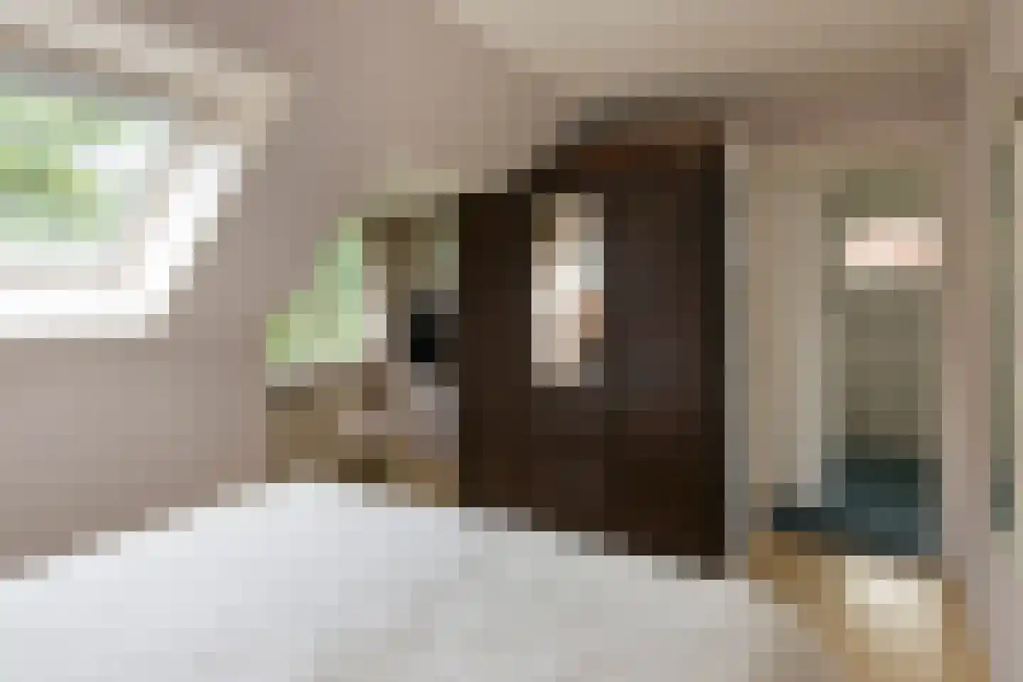 Julianalaan 66 Arnhem thumbnail 67