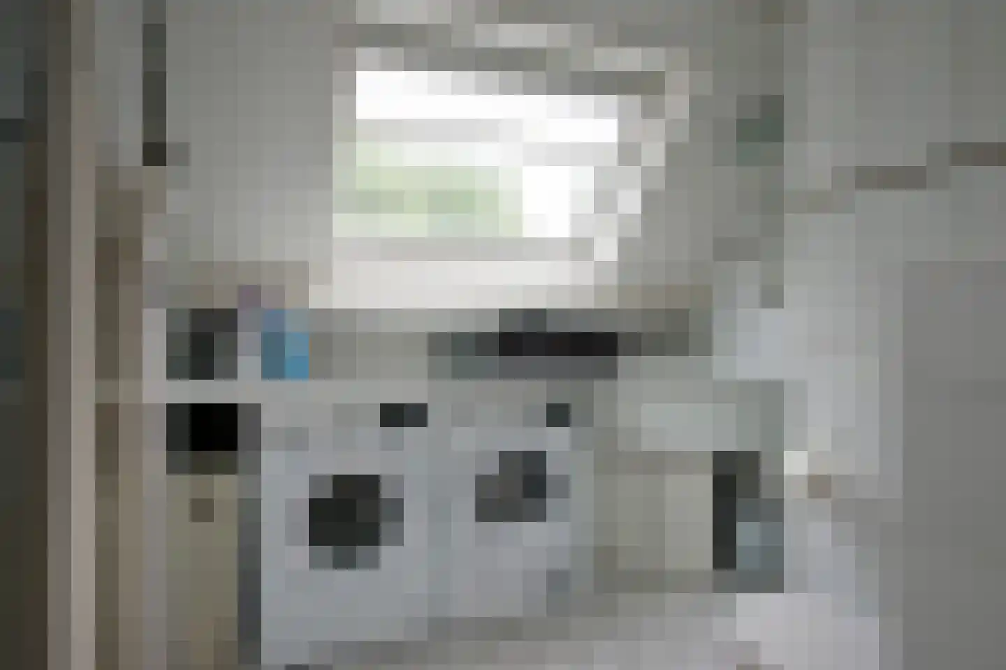 Julianalaan 66 Arnhem thumbnail 68