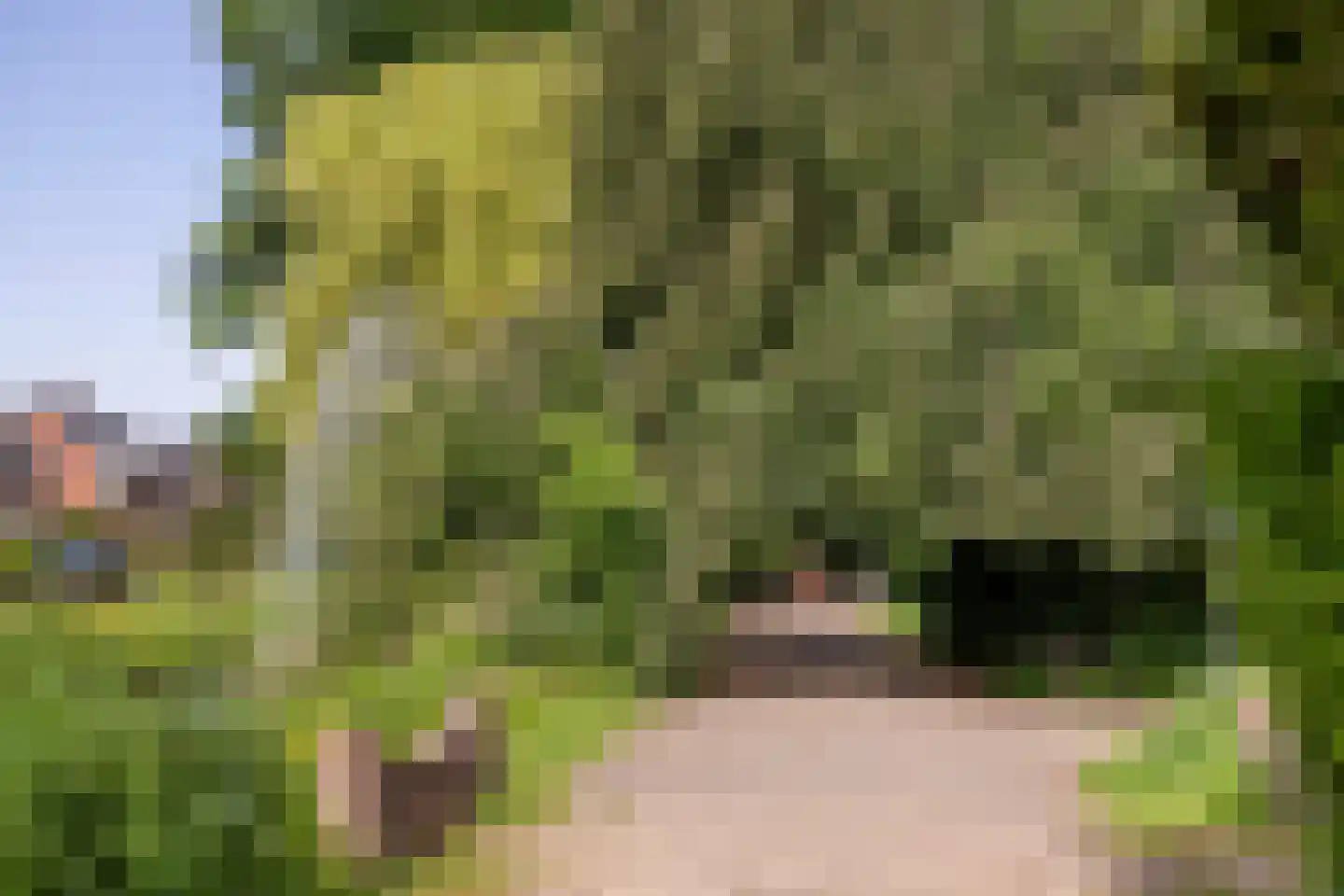 Julianalaan 66 Arnhem thumbnail 73