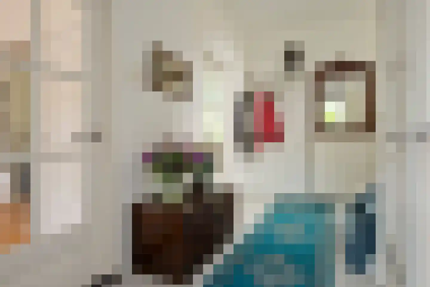 Julianalaan 66 Arnhem thumbnail 9