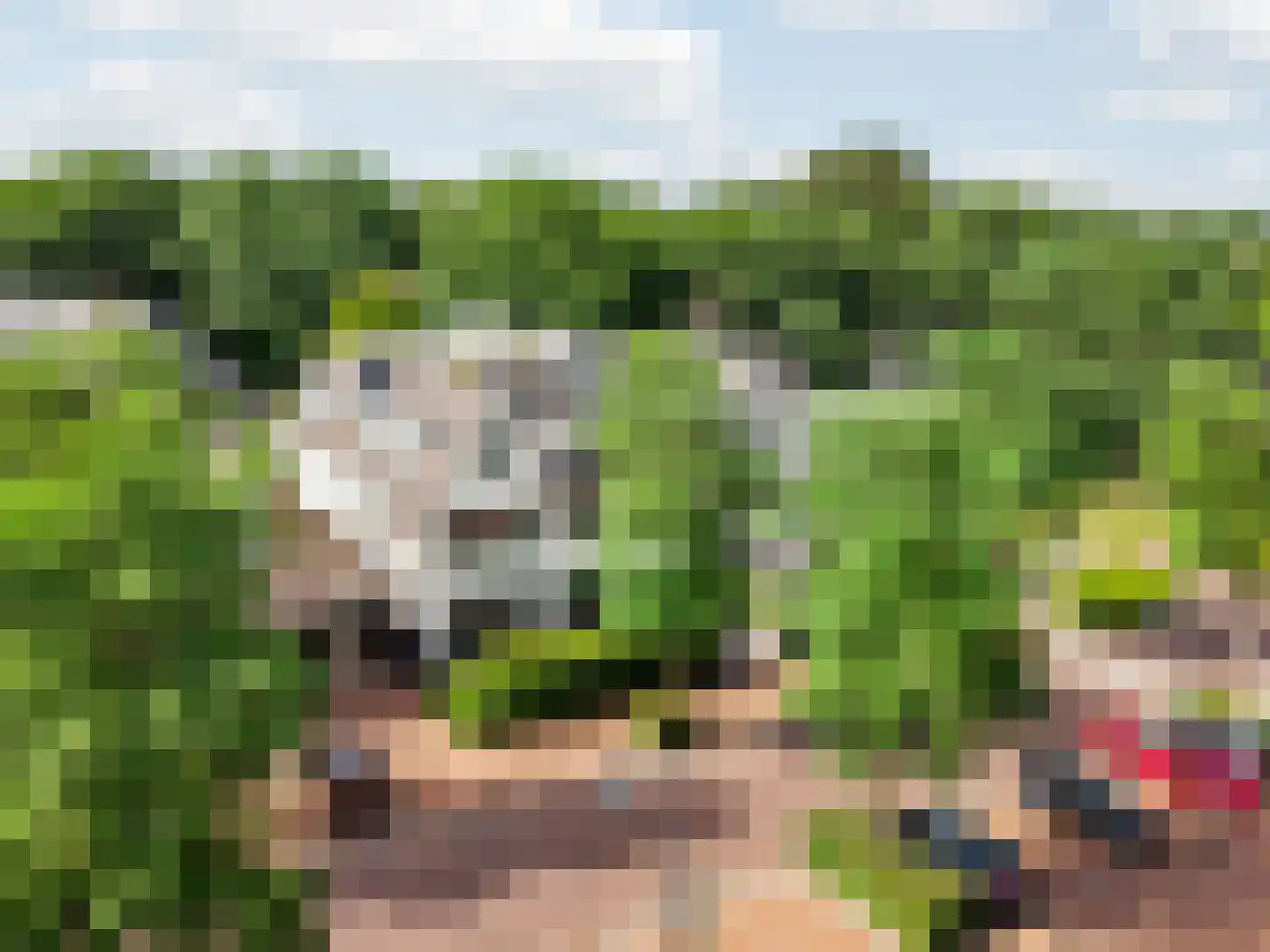 Julianalaan 67 Bilthoven thumbnail 32