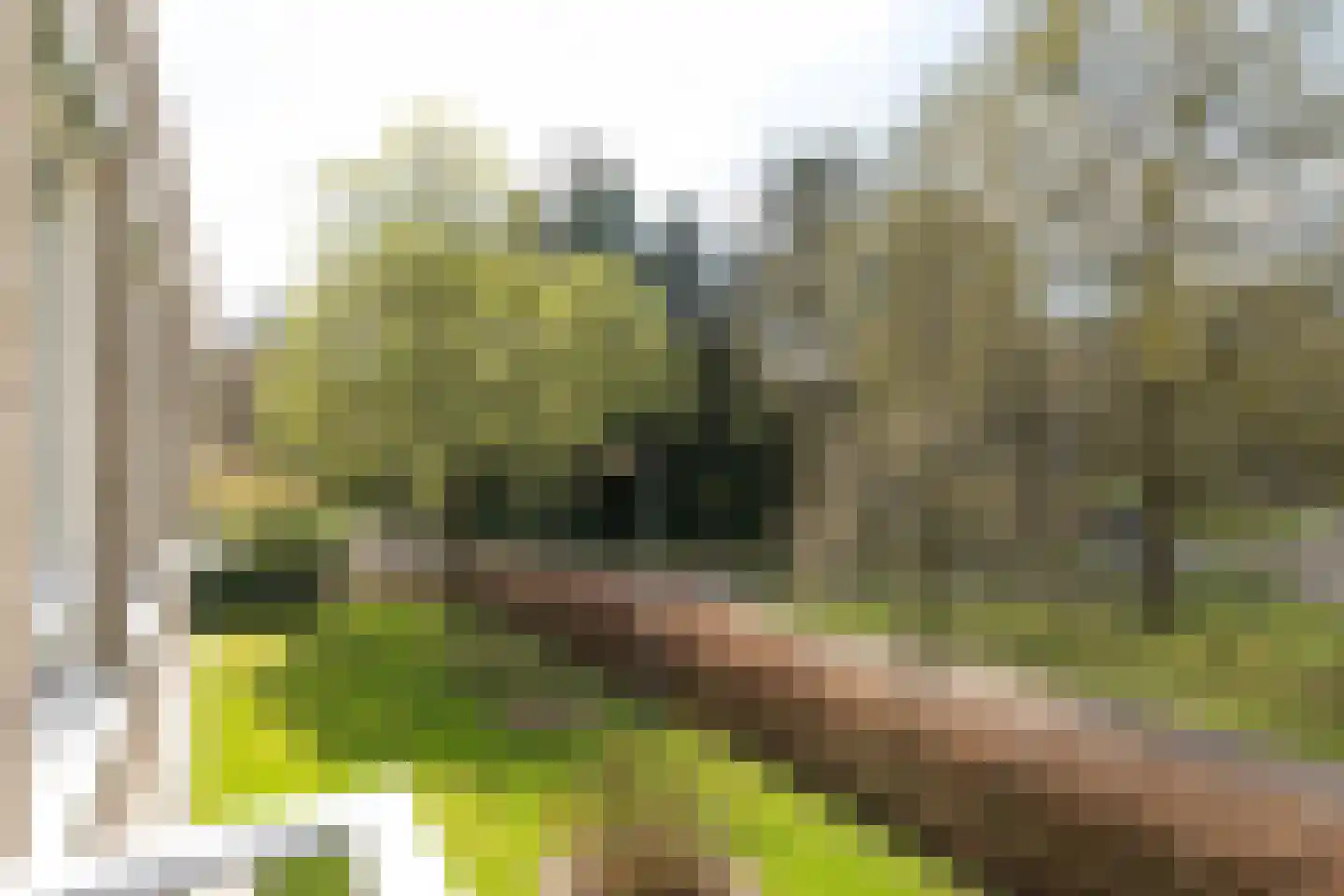 Julianalaan 7 0012 Baarn thumbnail 15