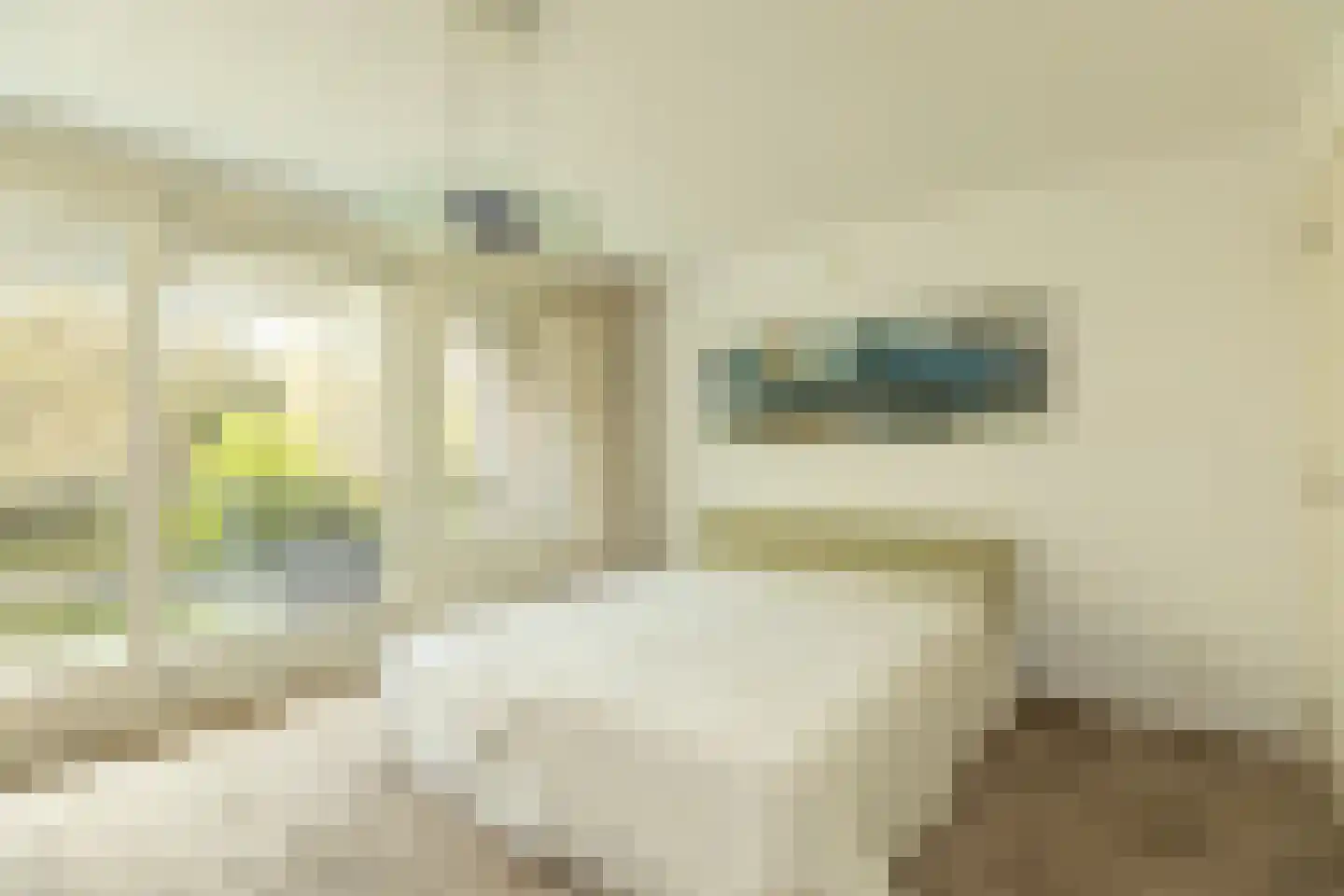 Julianalaan 7 0012 Baarn thumbnail 19