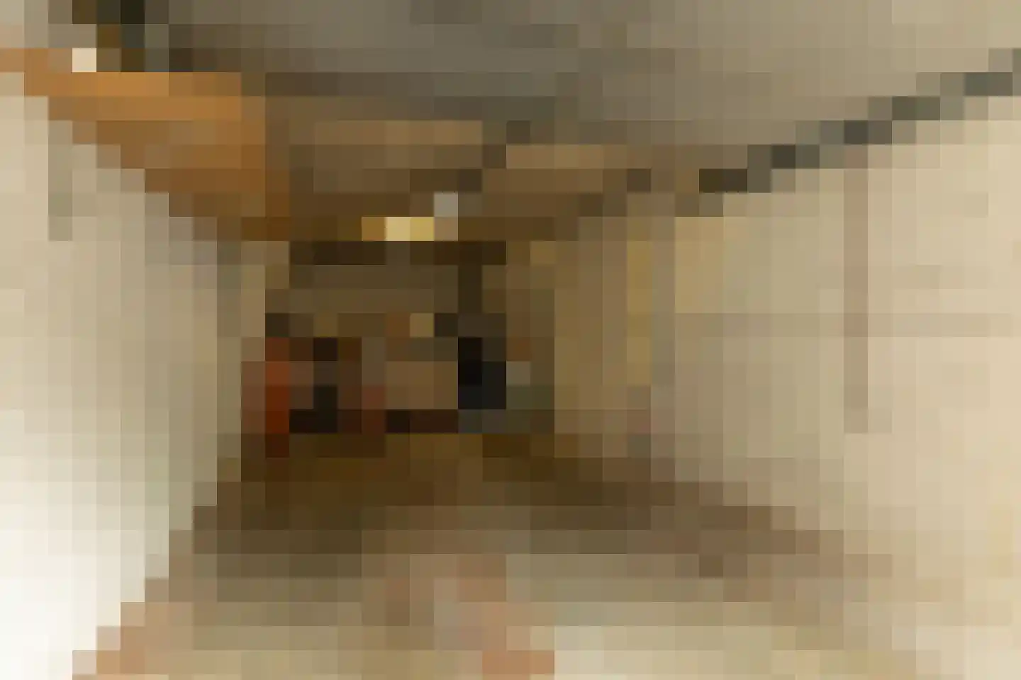 Julianalaan 7 0012 Baarn thumbnail 35