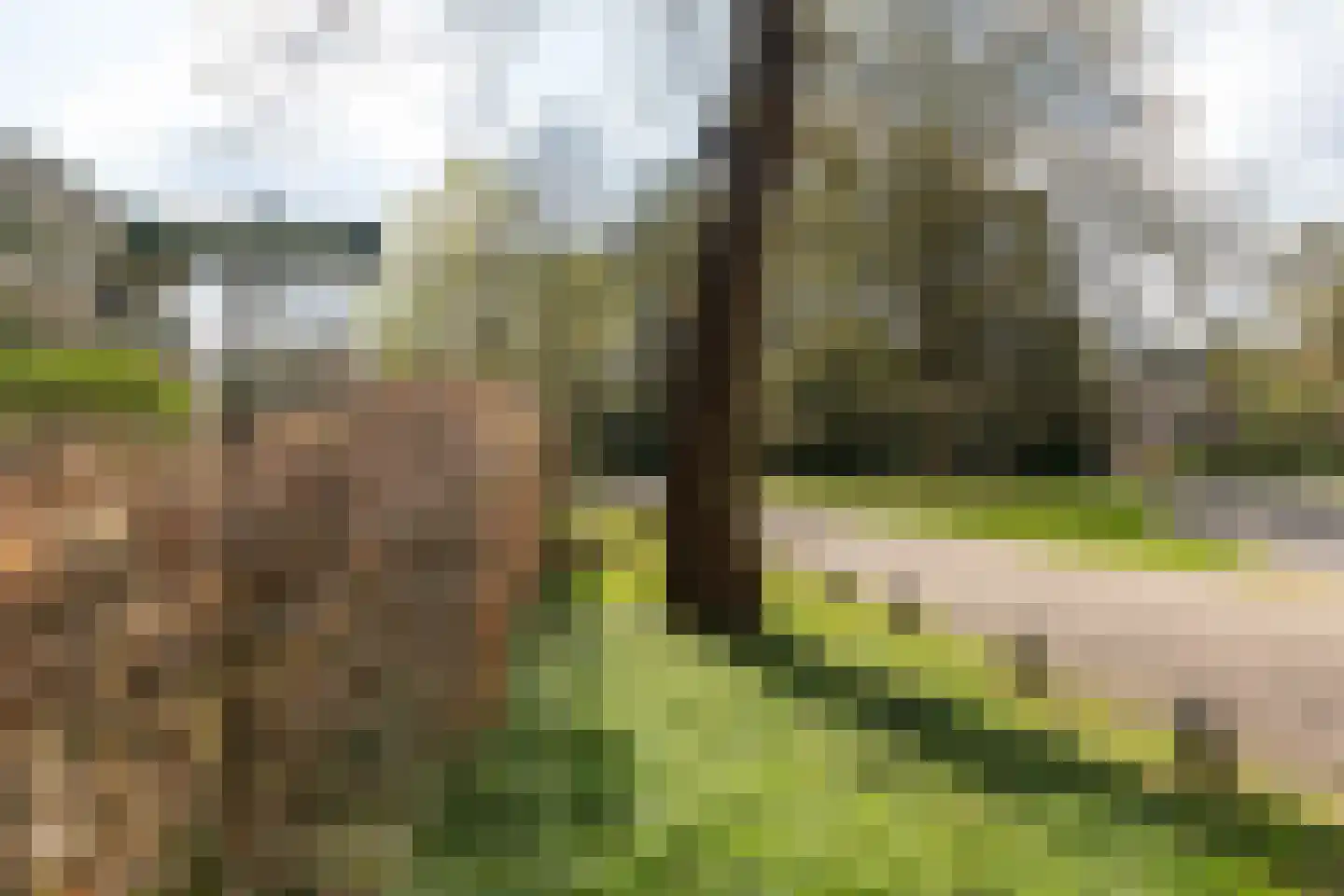 Julianalaan 7 0012 Baarn thumbnail 36