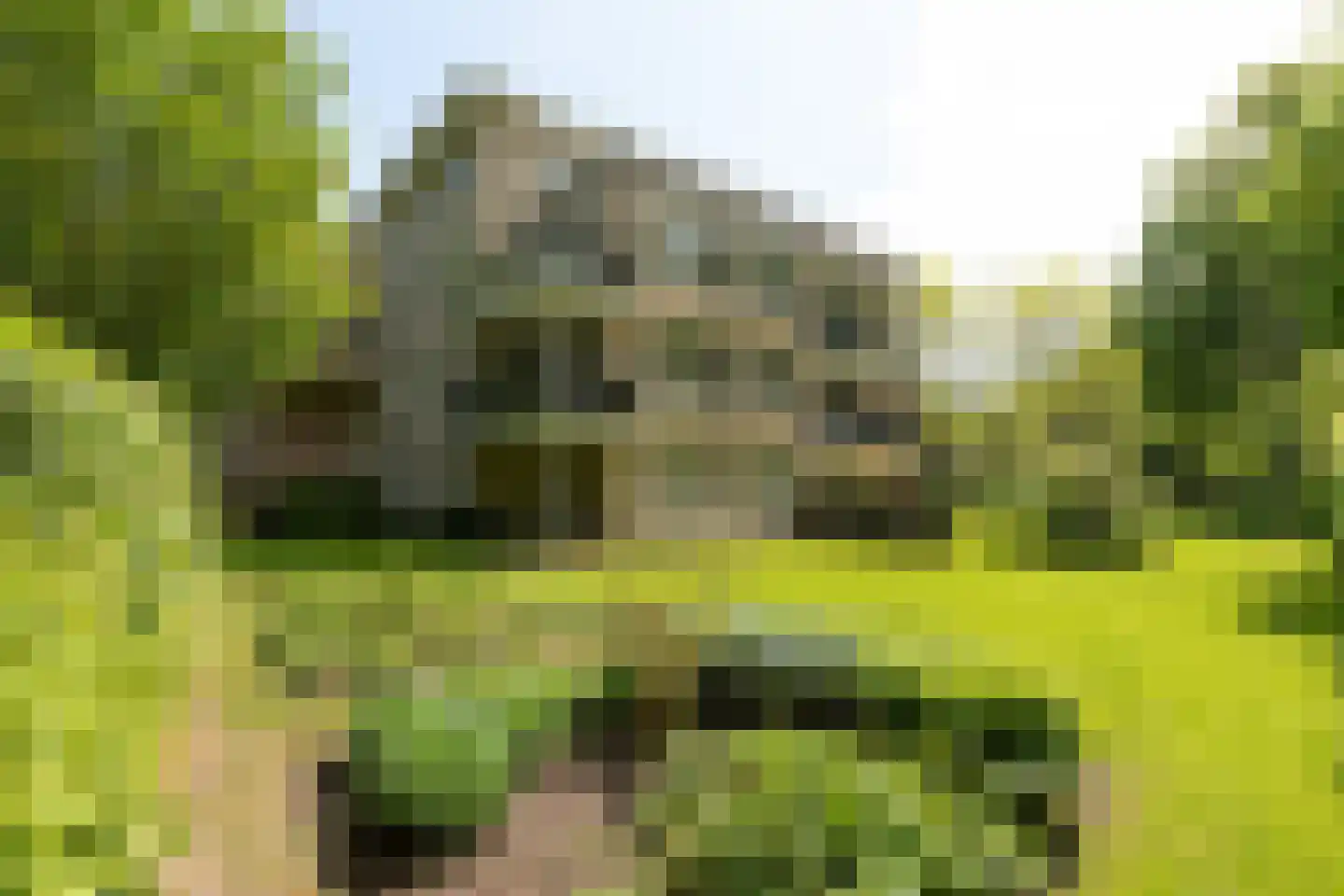 Julianalaan 7 0012 Baarn thumbnail 4