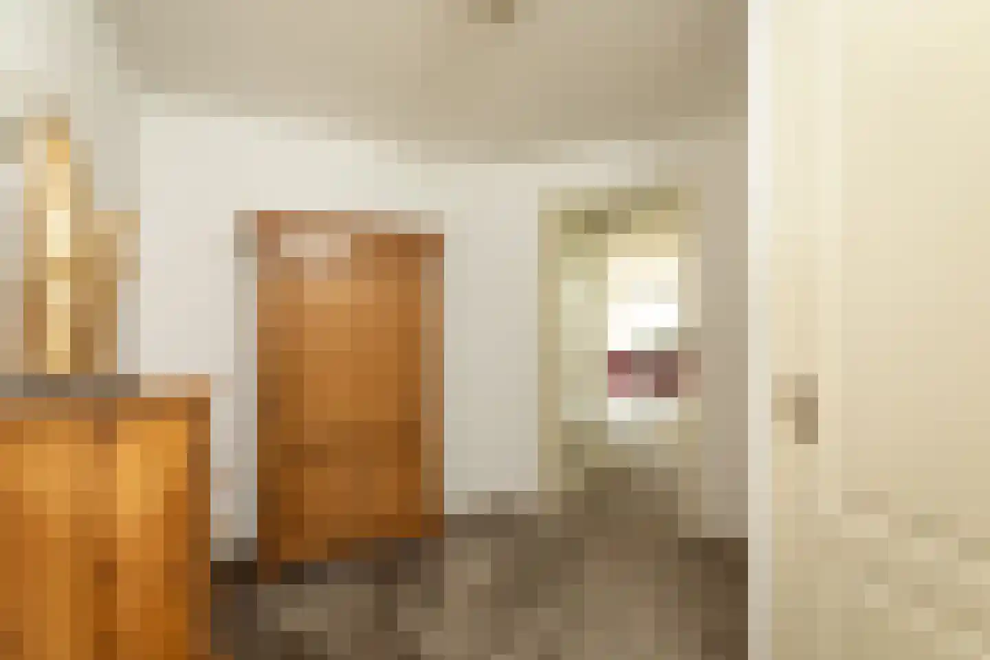 Julianalaan 7 0012 Baarn thumbnail 8