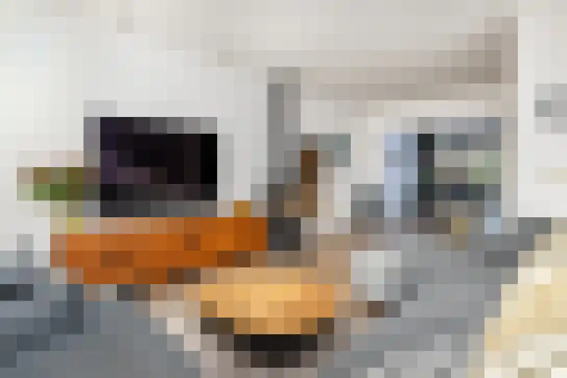 Julianalaan 7 Dirksland thumbnail 10