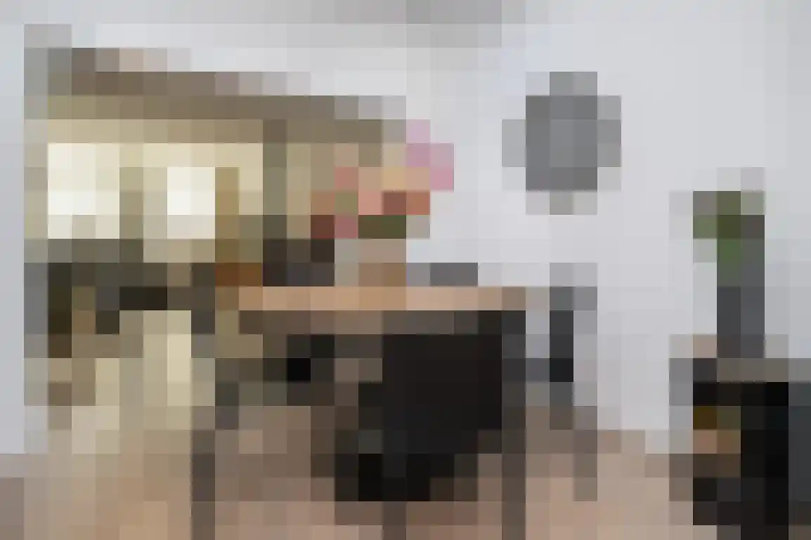 Julianalaan 7 Dirksland thumbnail 18