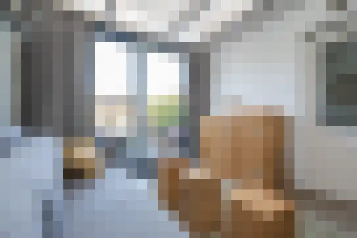 Julianalaan 7 Dirksland thumbnail 21