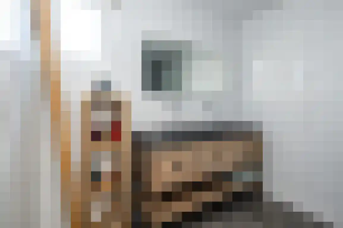 Julianalaan 7 Dirksland thumbnail 25