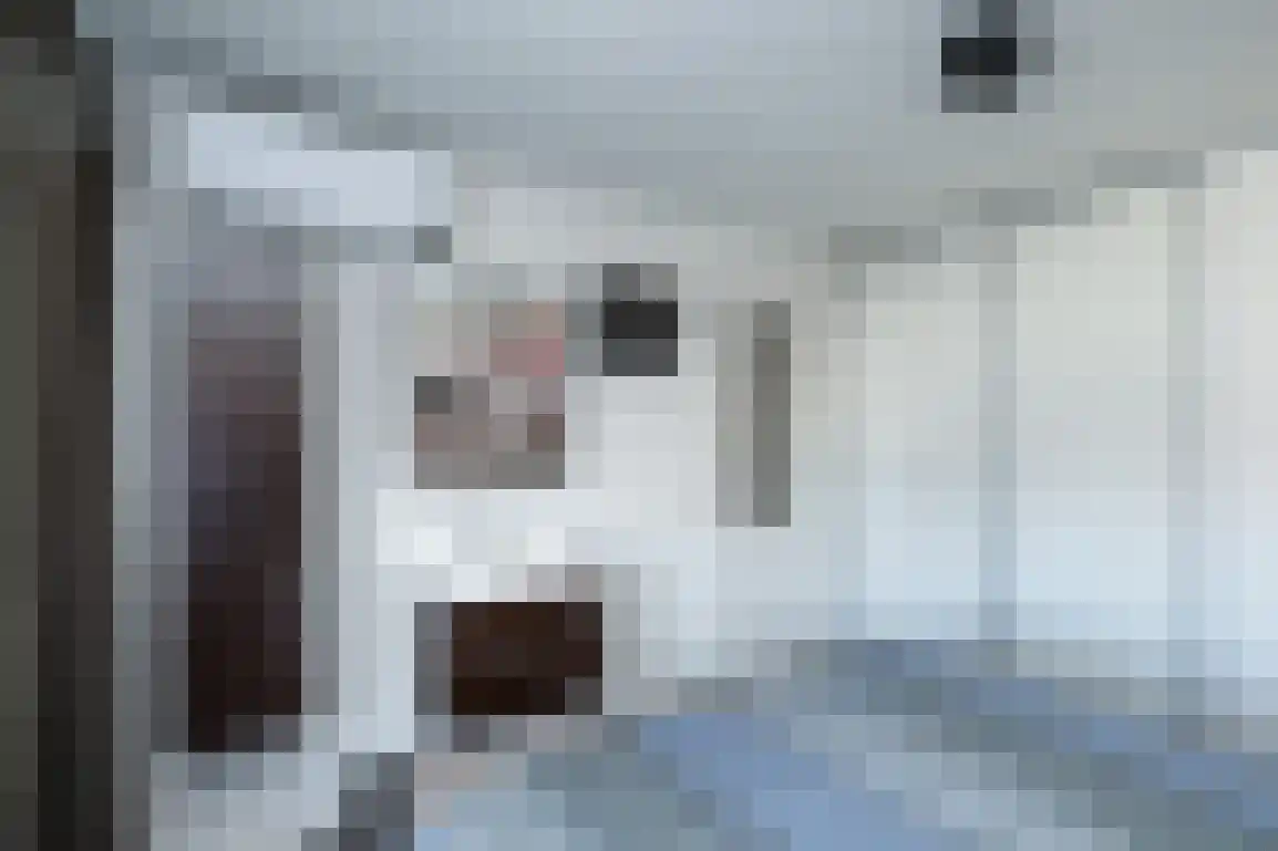 Julianalaan 7 Dirksland thumbnail 31