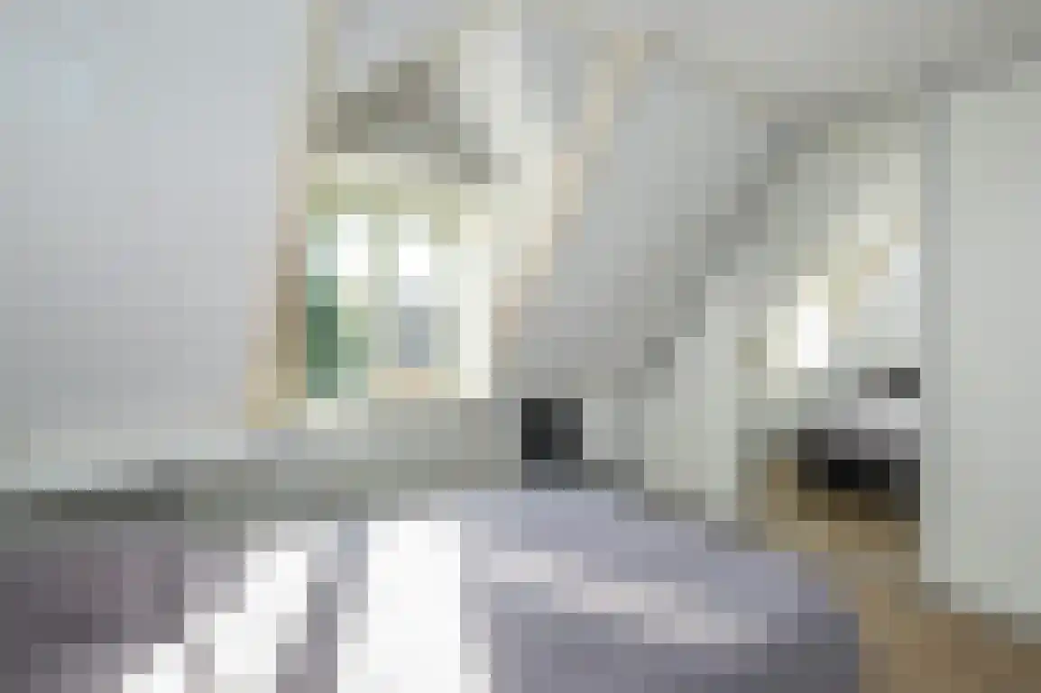 Julianalaan 7 Dirksland thumbnail 33