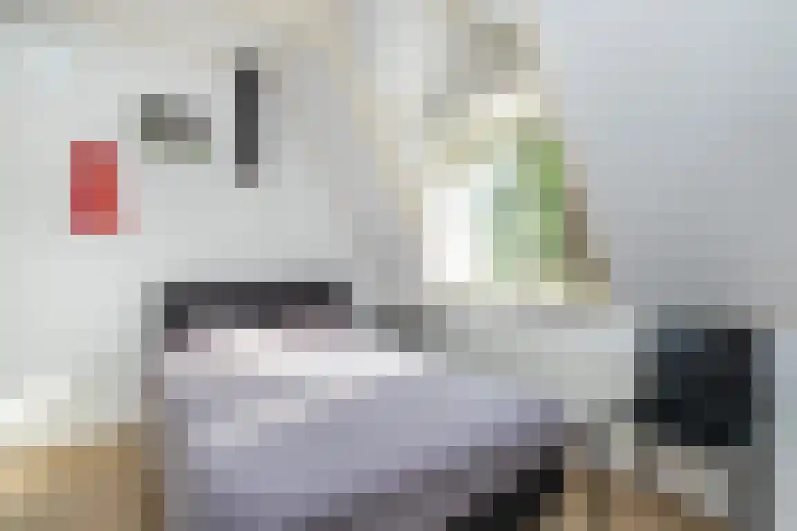 Julianalaan 7 Dirksland thumbnail 34