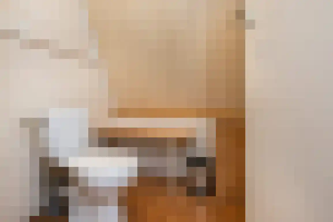 Julianalaan 7 Dirksland thumbnail 35