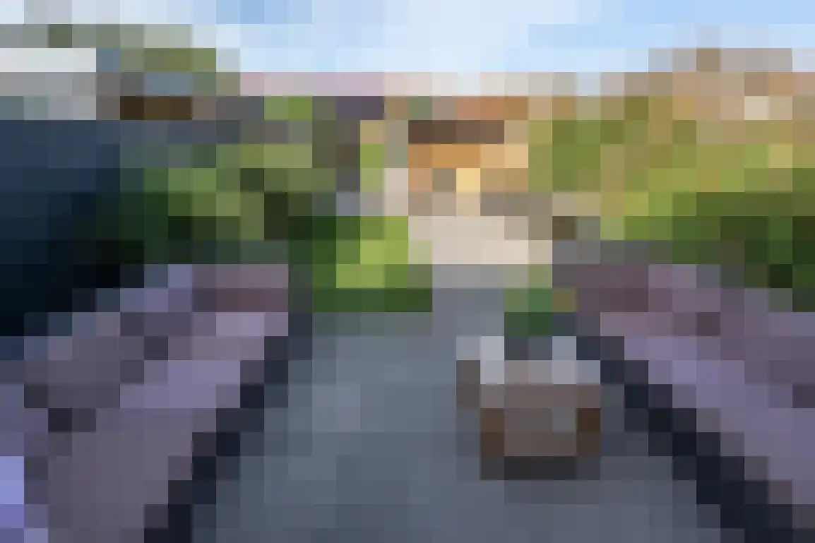 Julianalaan 7 Dirksland thumbnail 40