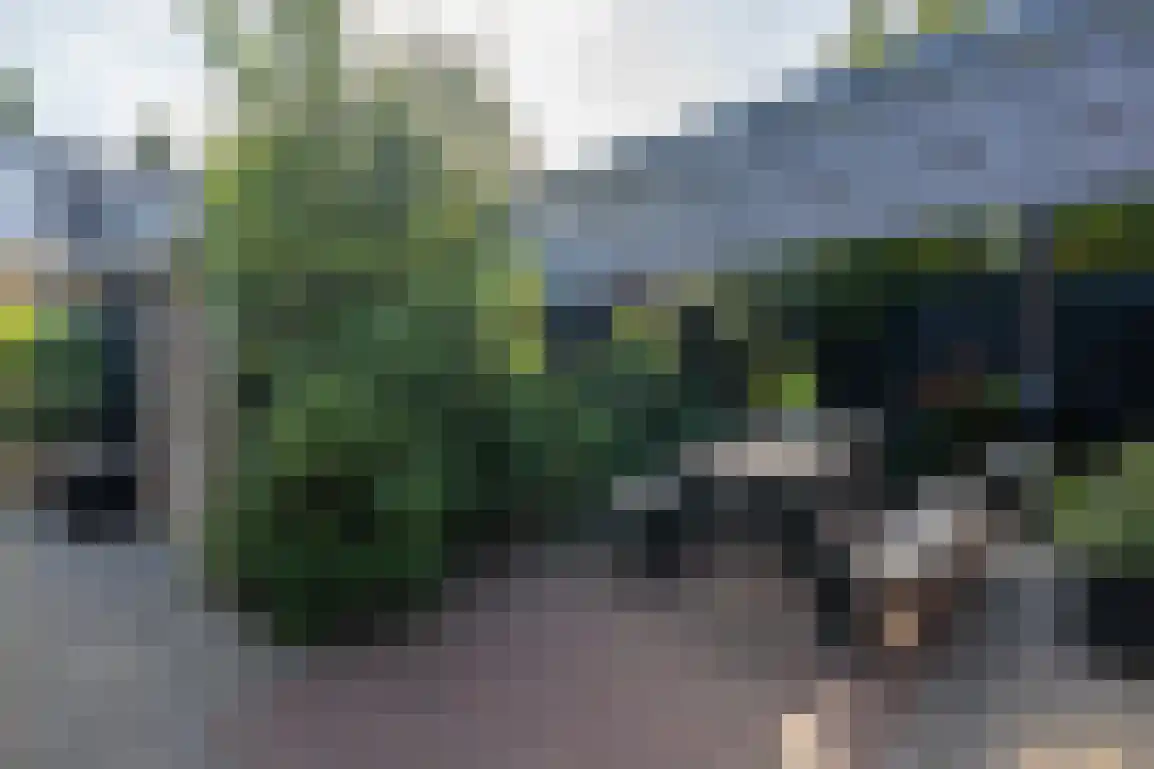 Julianalaan 7 Dirksland thumbnail 41