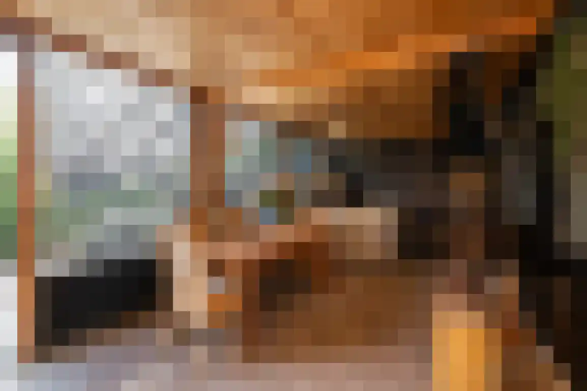 Julianalaan 7 Dirksland thumbnail 5