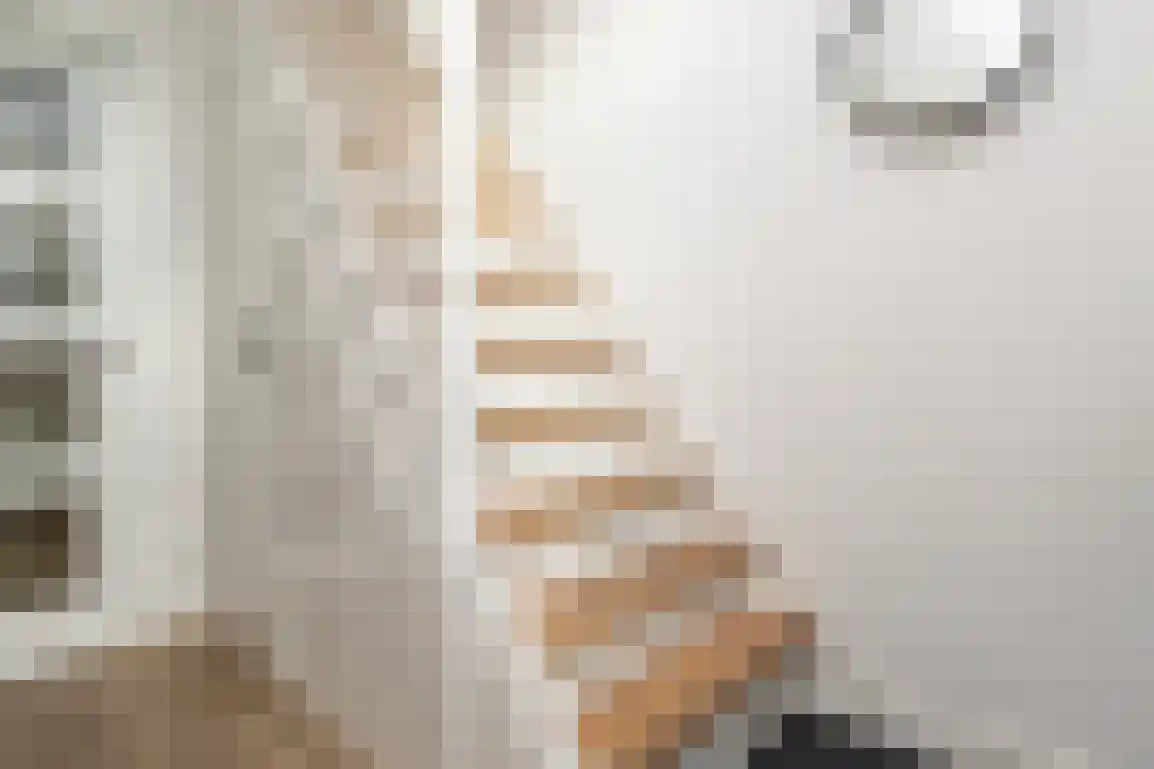 Julianalaan 7 Dirksland thumbnail 9