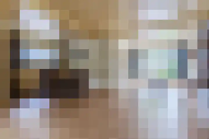 Julianalaan 7 Hapert thumbnail 12