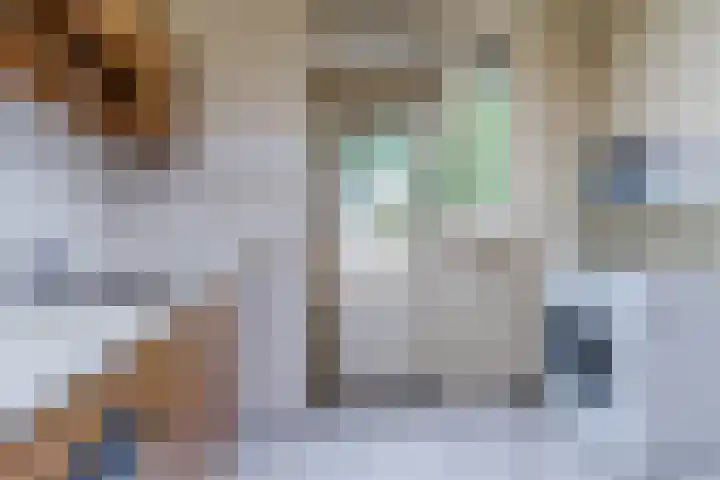 Julianalaan 7 Hapert thumbnail 19