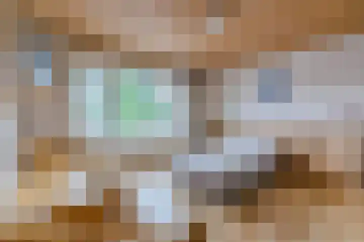 Julianalaan 7 Hapert thumbnail 23