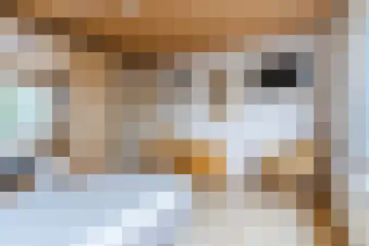 Julianalaan 7 Hapert thumbnail 24