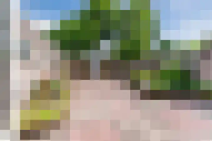 Julianalaan 7 Hapert thumbnail 35
