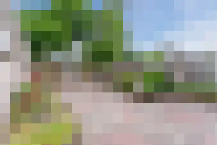 Julianalaan 7 Hapert thumbnail 36